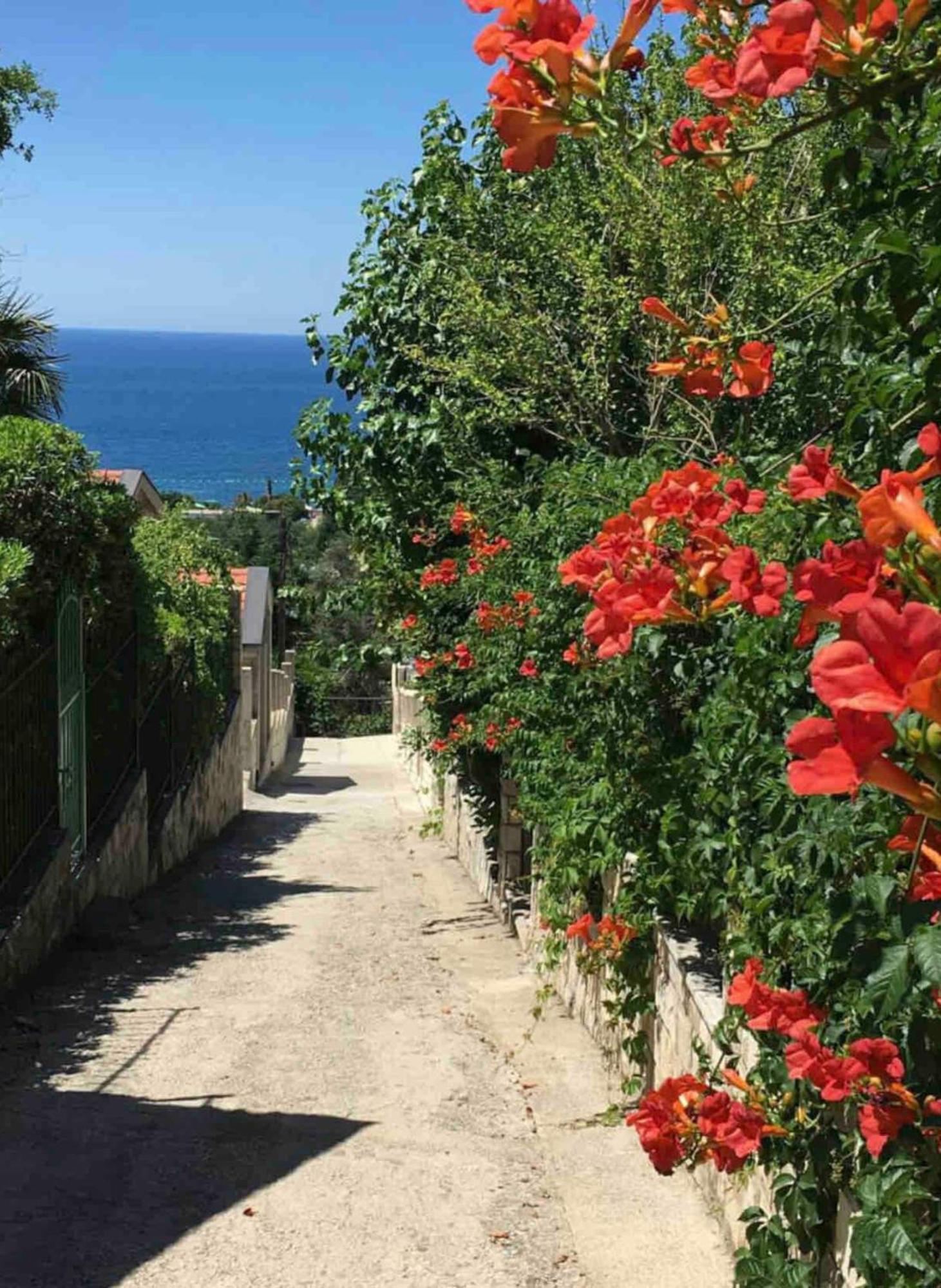Bay View Apartments Petrovac Zewnętrze zdjęcie