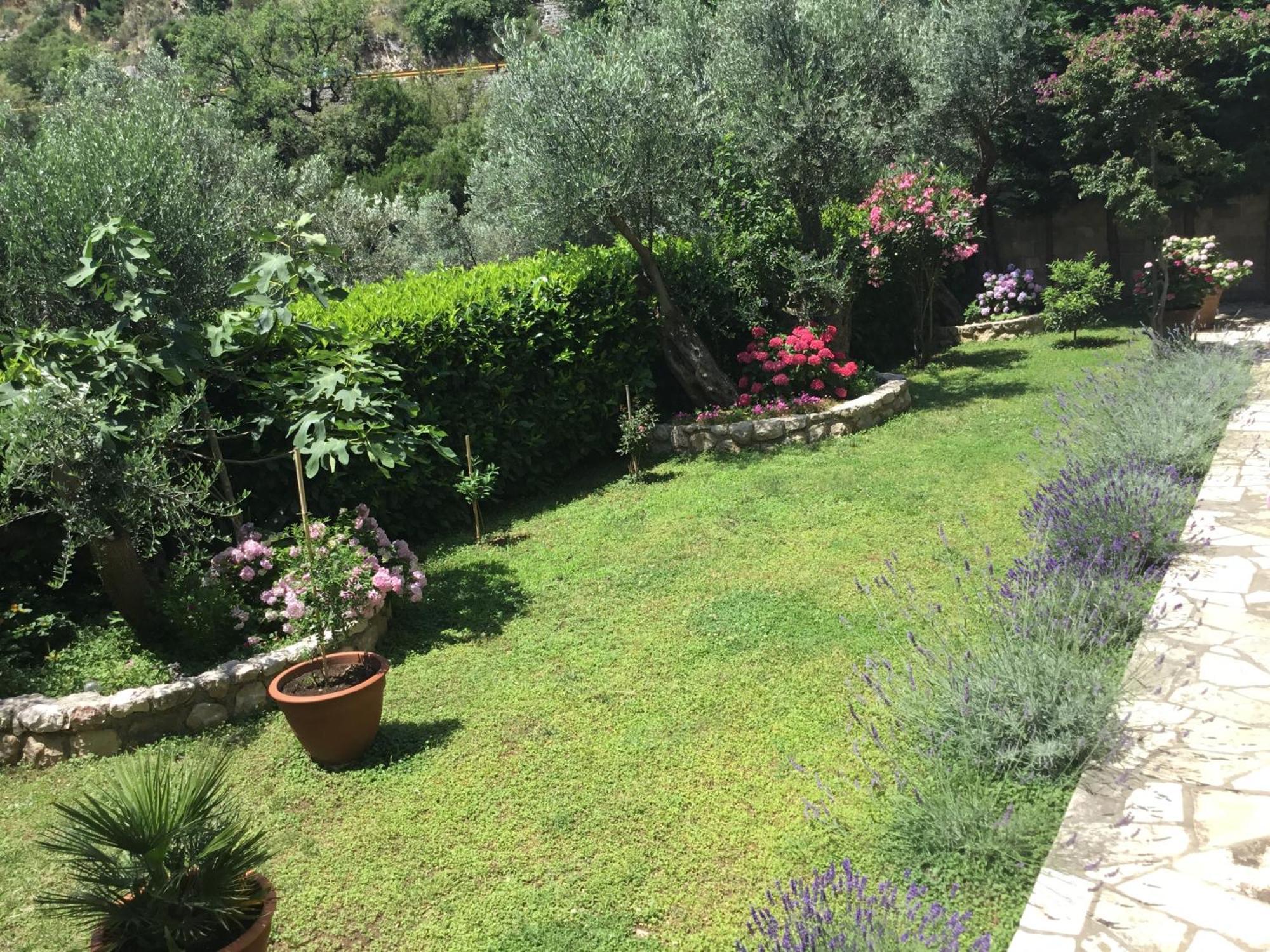 Bay View Apartments Petrovac Zewnętrze zdjęcie